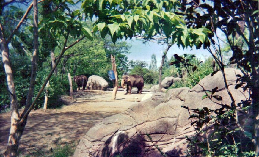Asian Elephant Yard - Vanishing Giants - May 2004