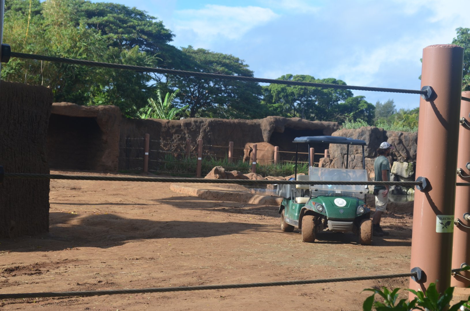 Asian Elephant Yard