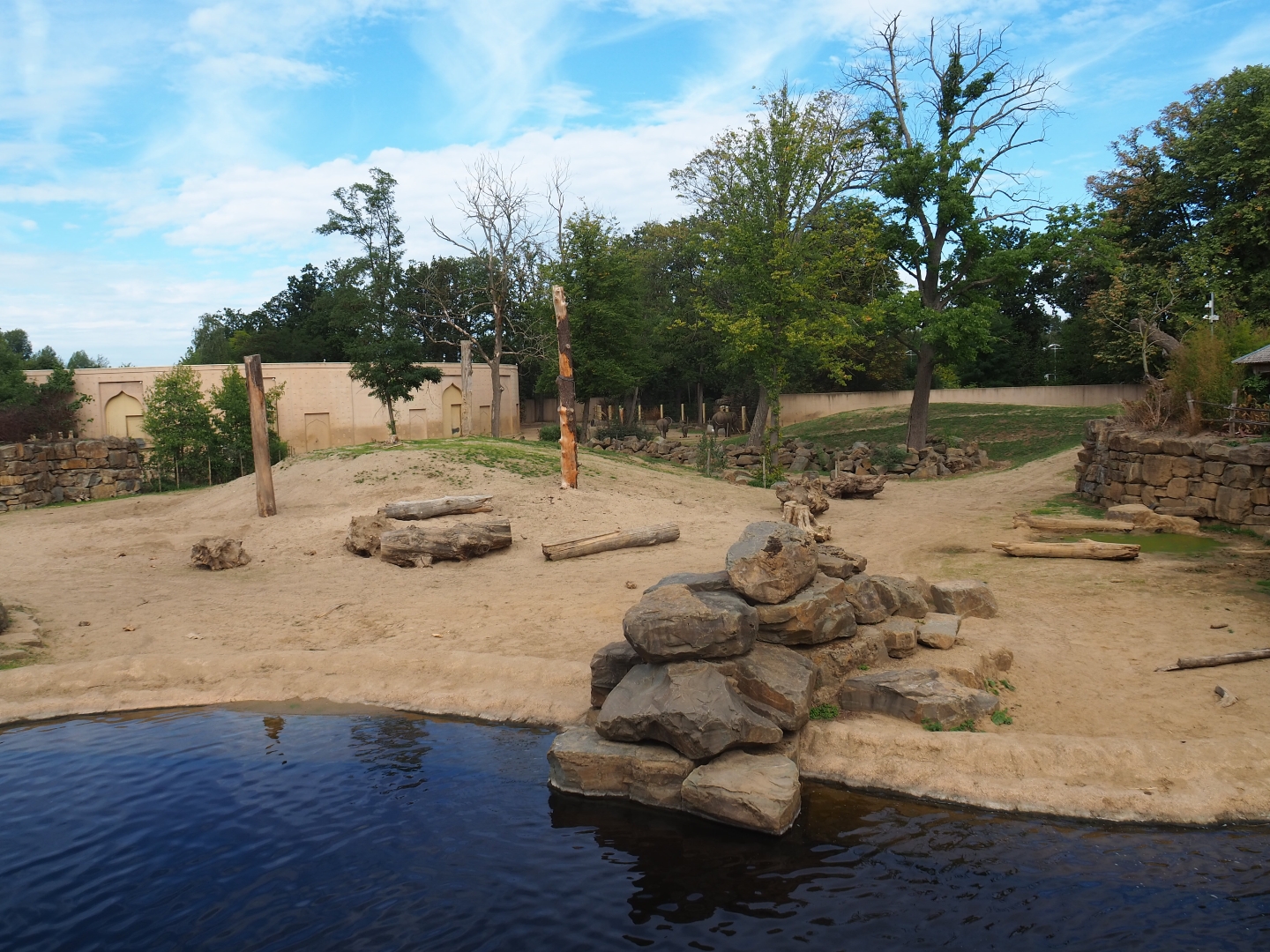 Asian elephant yard