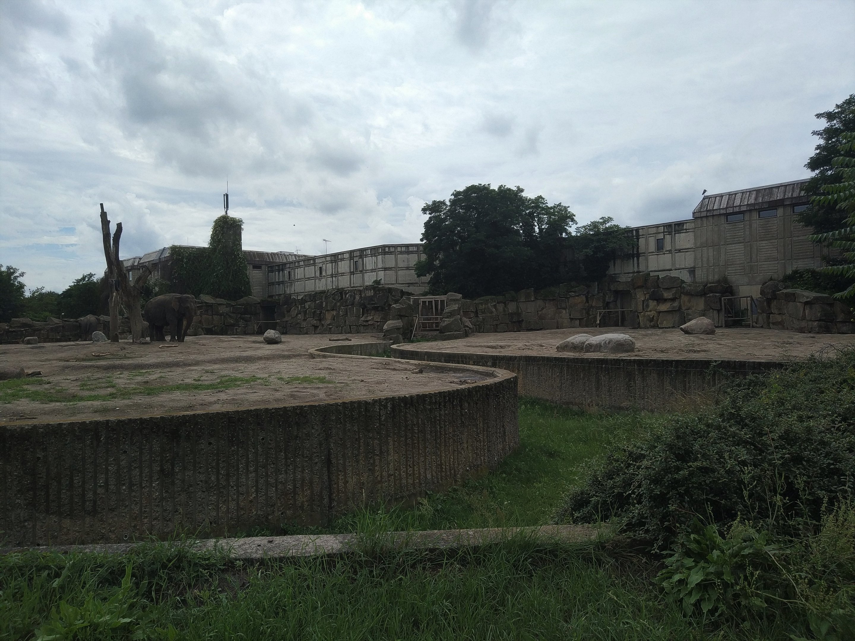 Asian Elephant Yards