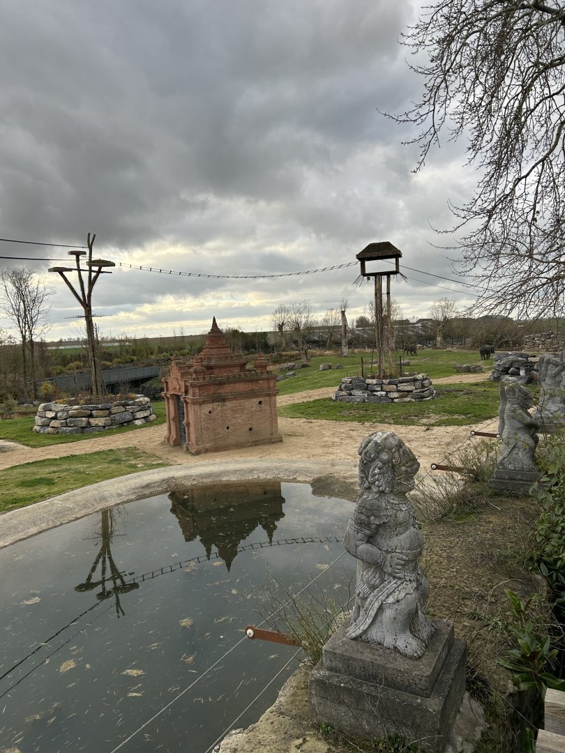 Asian elephant’s feeding temple and swimming pool on the savannah