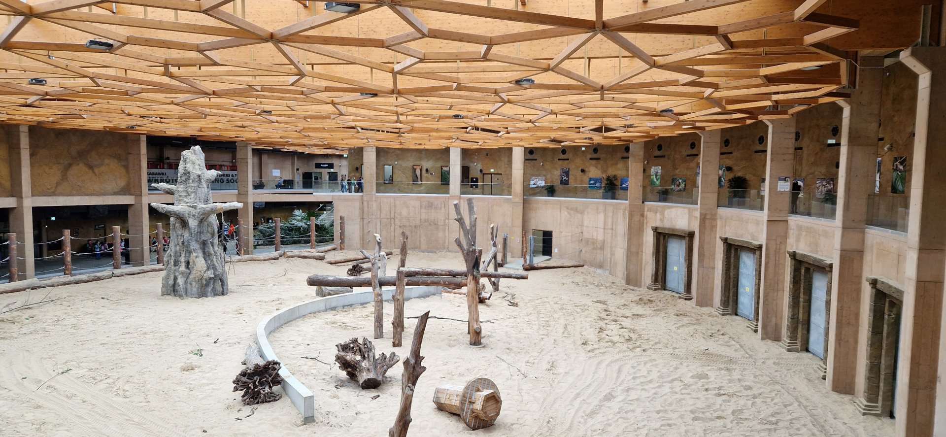 Asian Elephants indoor space