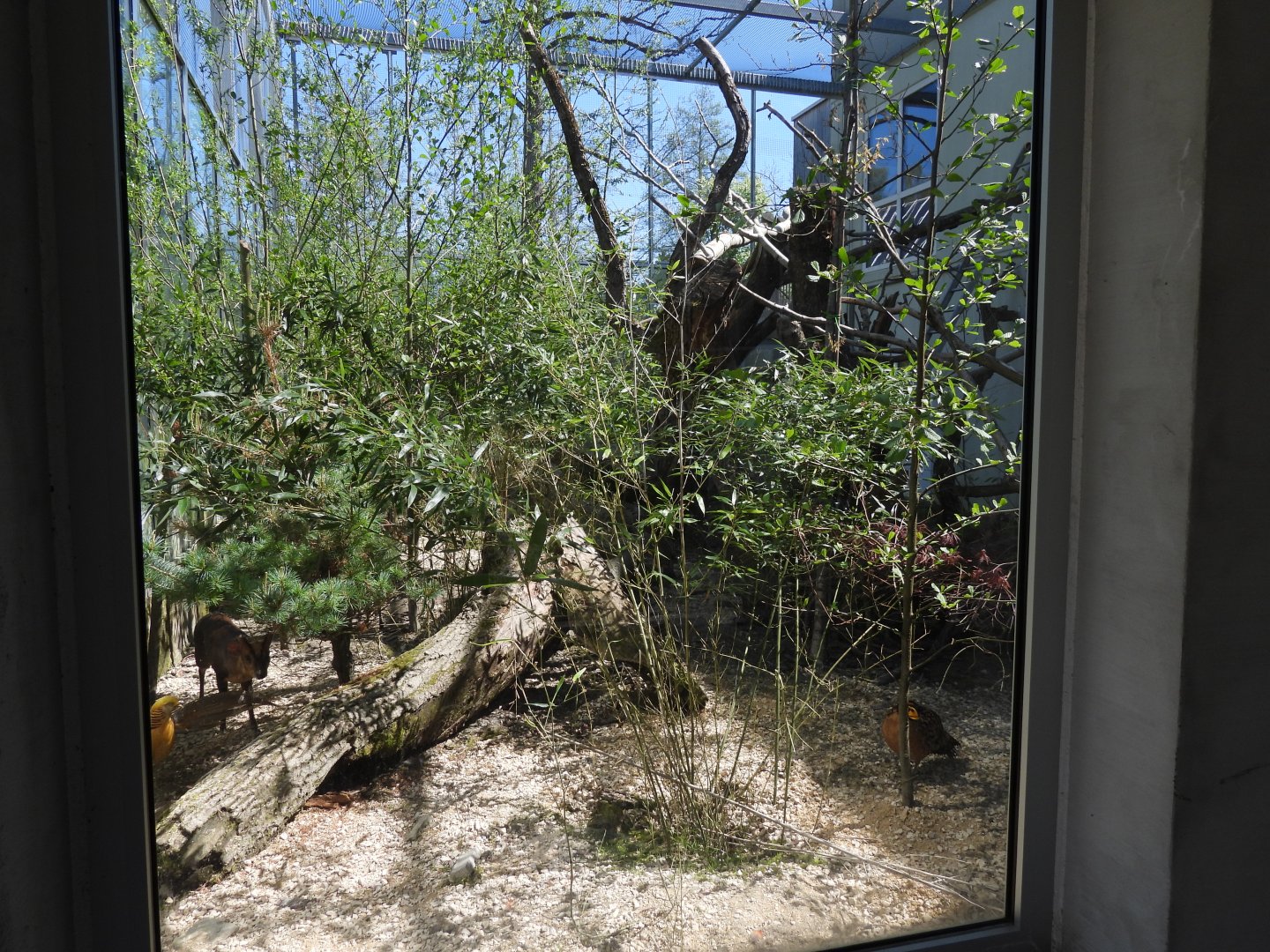 Asian exhibit at the museum