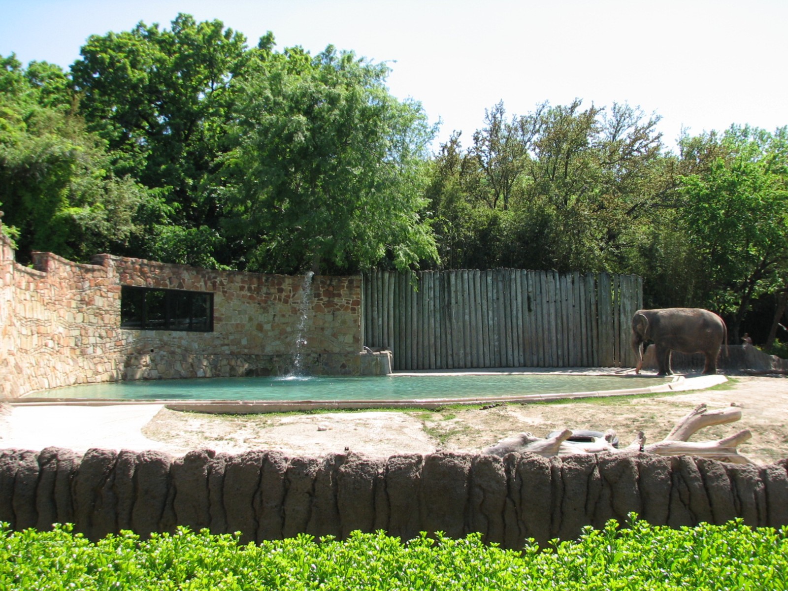 Asian Falls - Asian Elephant Exhibit