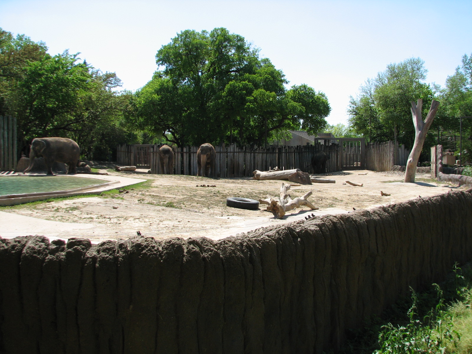 Asian Falls - Asian Elephant Exhibit