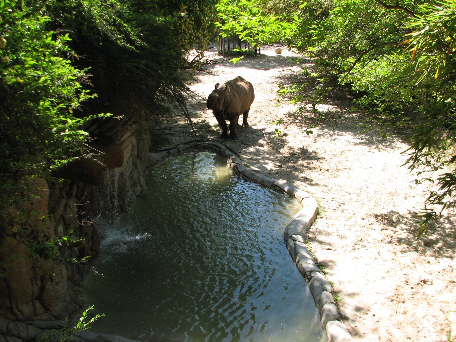 Asian Falls - Indian Rhinoceros Exhibit