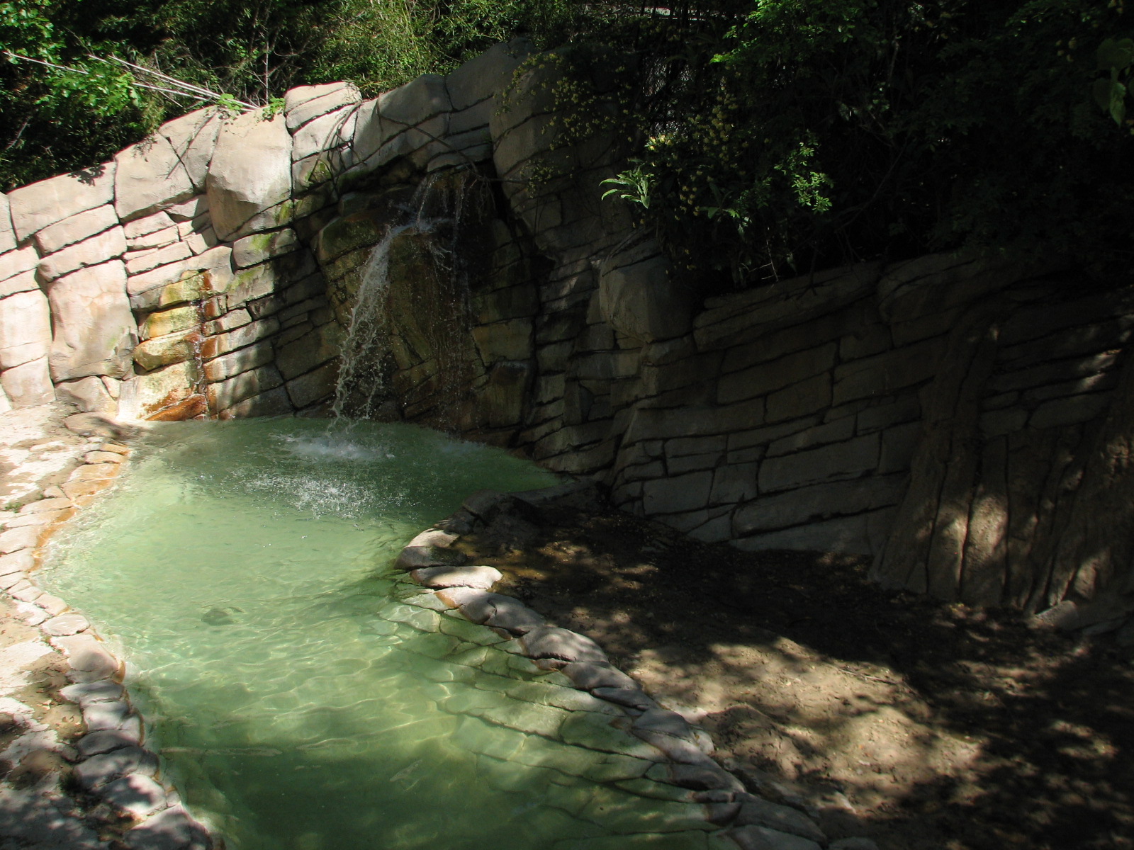 Asian Falls - Indian Rhinoceros Exhibit