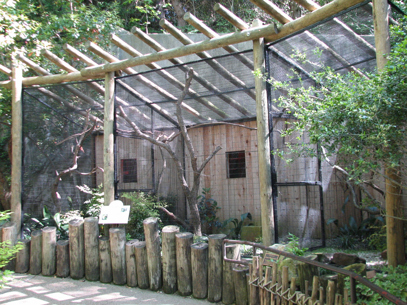 Asian Falls - Lesser Bird of Paradise Exhibits