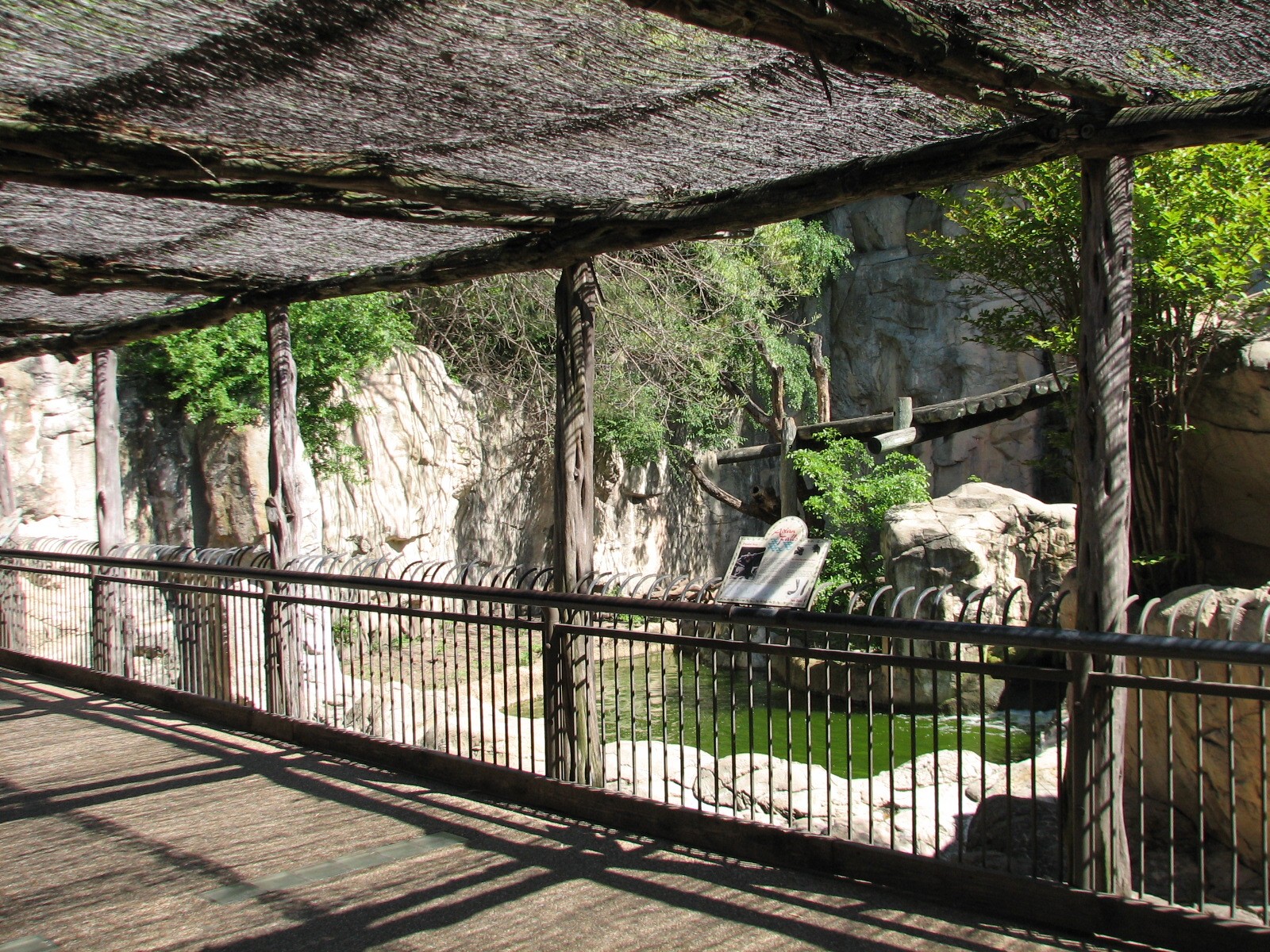 Asian Falls - Malayan Sun Bear Exhibit Viewing Area