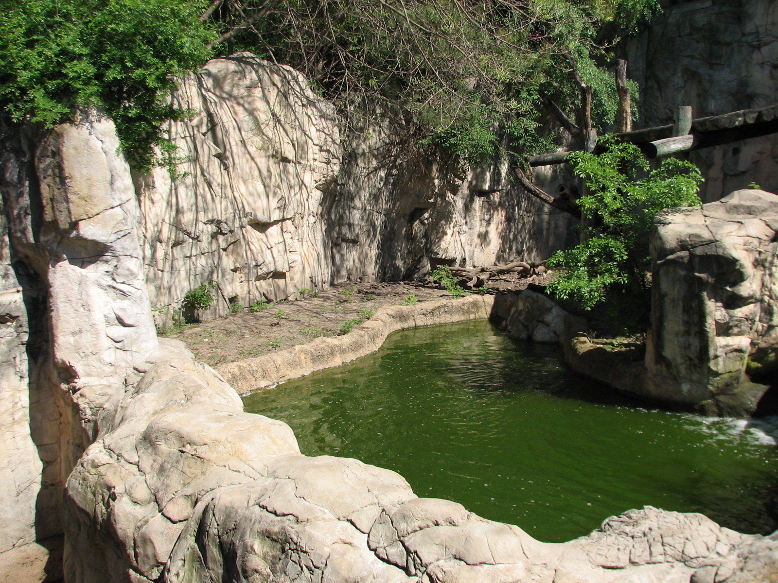 Asian Falls - Malayan Sun Bear Exhibit