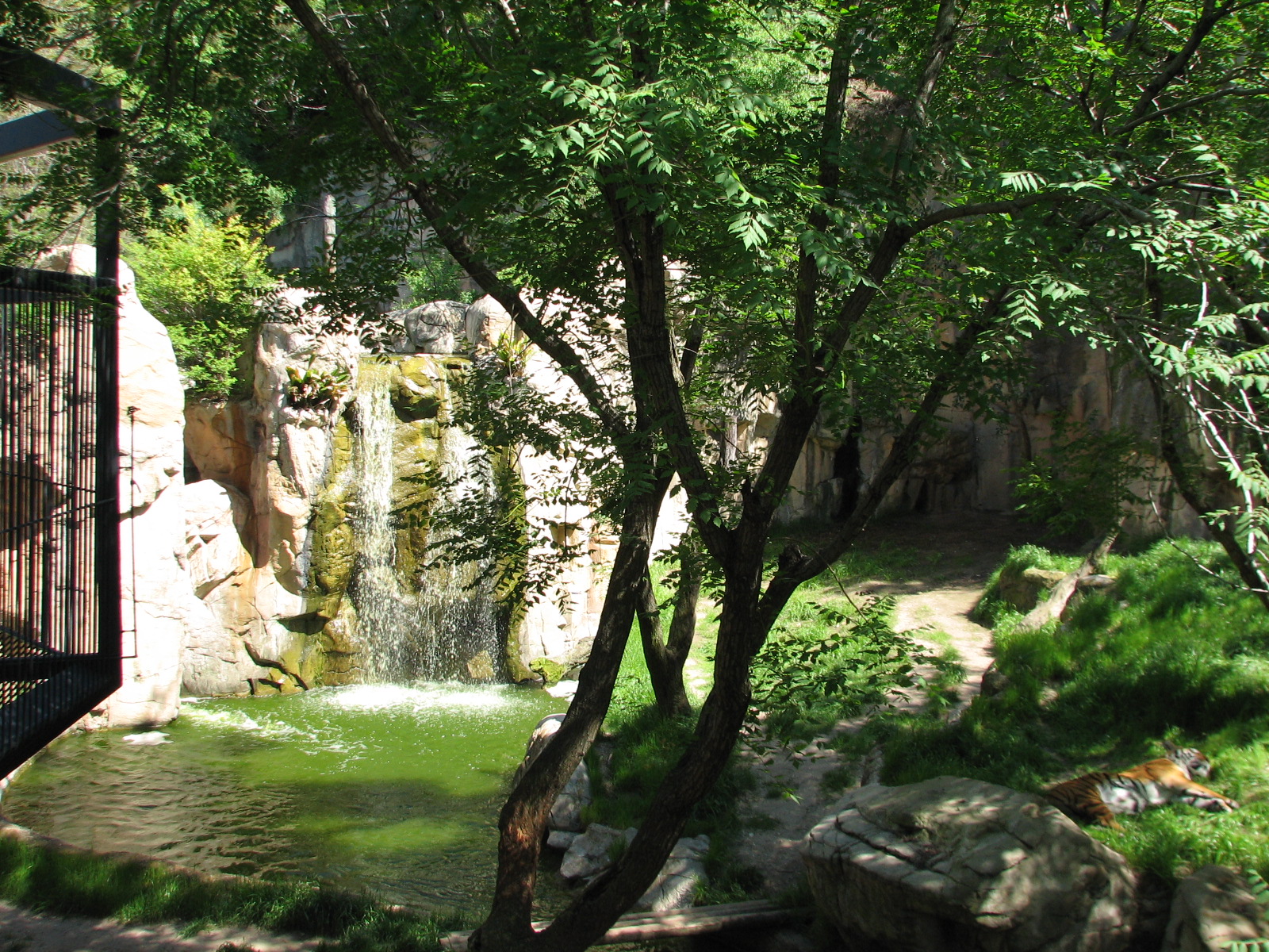 Asian Falls - Malayan Tiger Exhibit