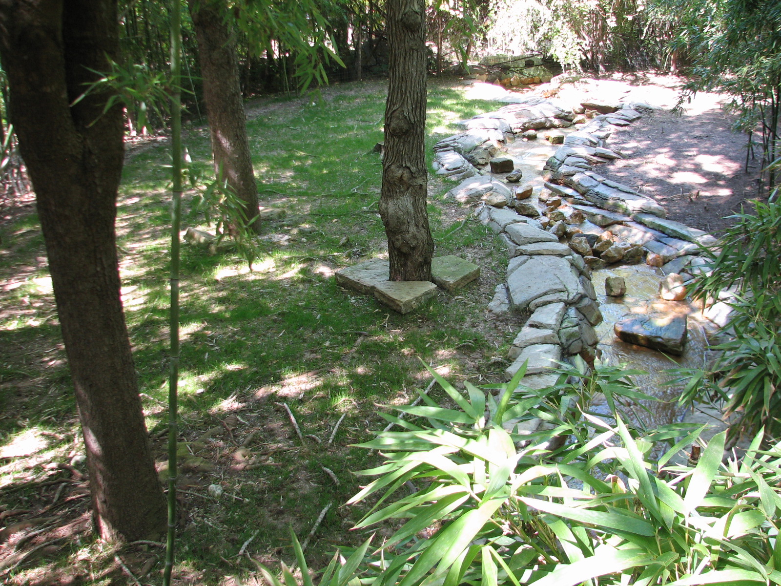 Asian Falls - Reeves Muntjac Exhibit