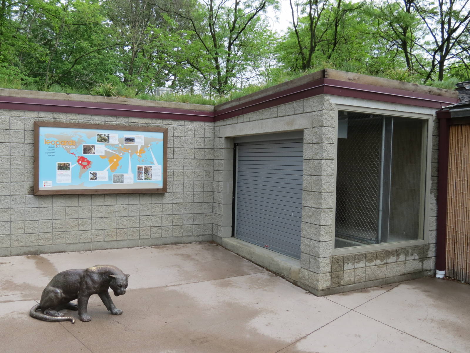 Asian Forest - Amur Leopard Exhibit Bedroom Viewing Area