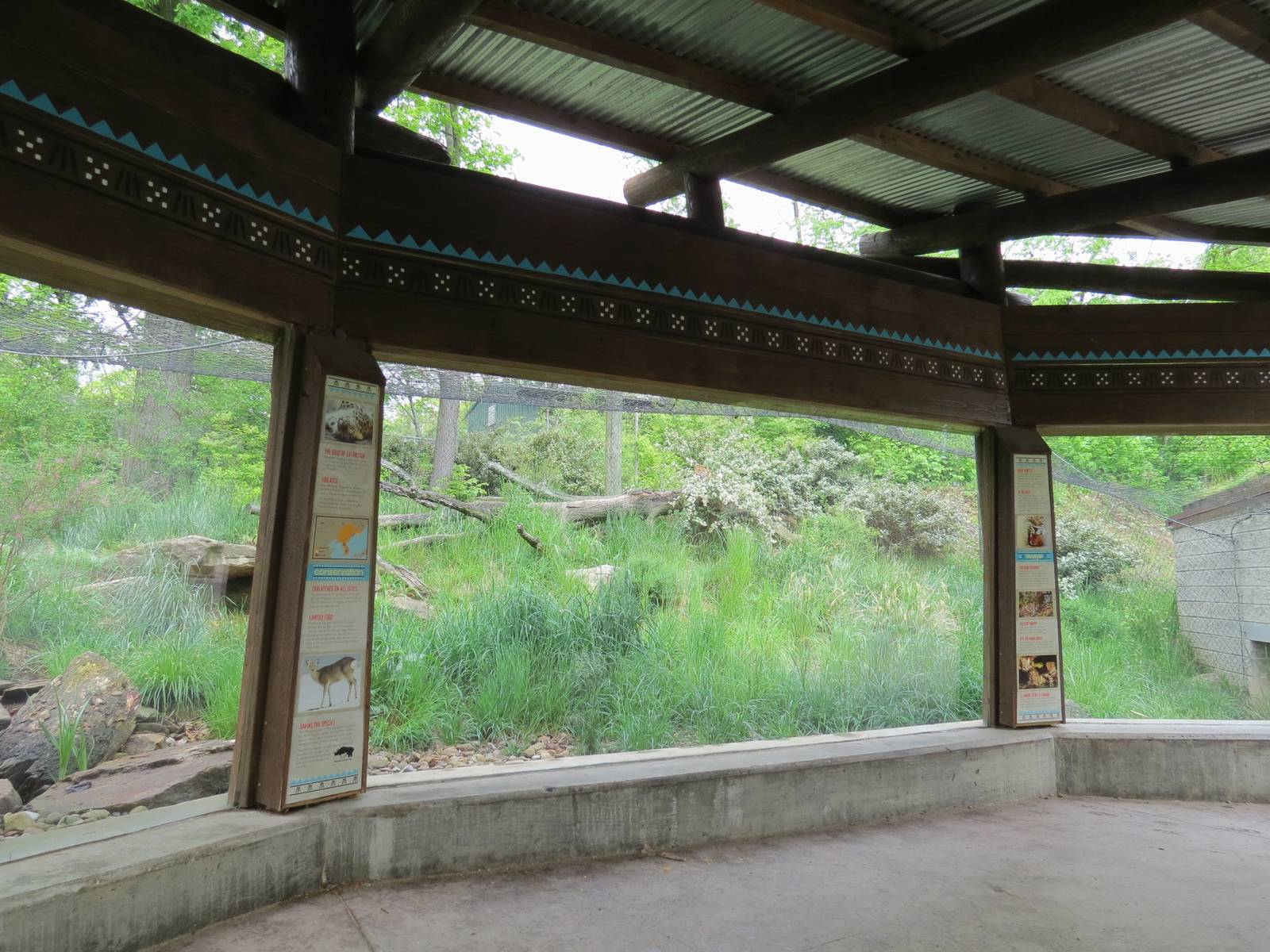 Asian Forest - Amur Leopard Exhibit Viewing Shelter