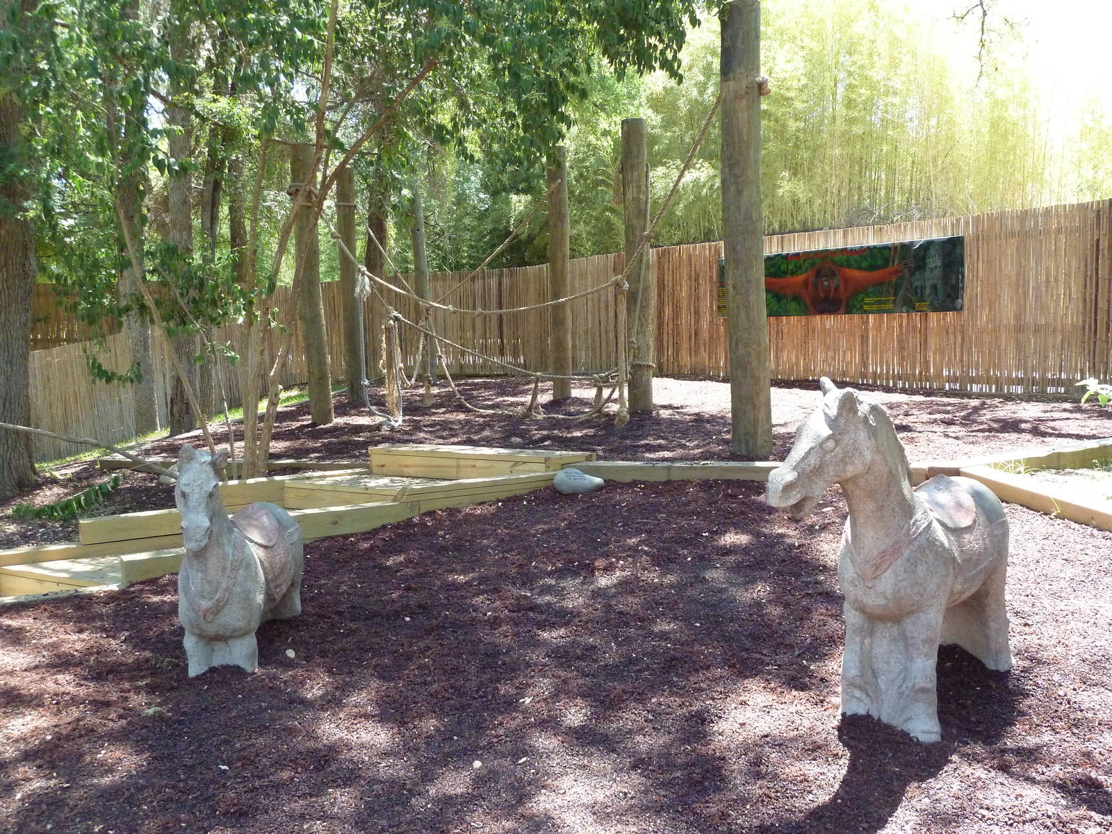 Asian Forest - Bornean Orangutan Exhibit - Children's Playground