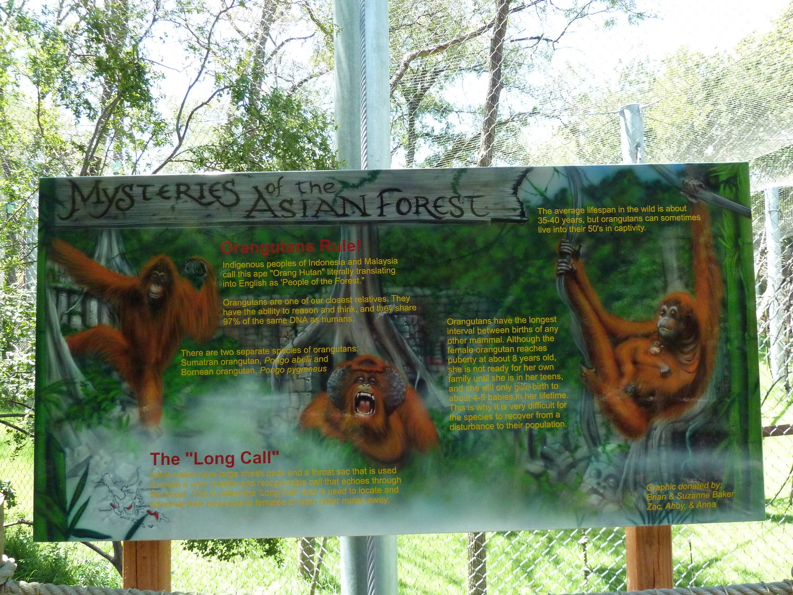 Asian Forest - Bornean Orangutan Exhibit Sign