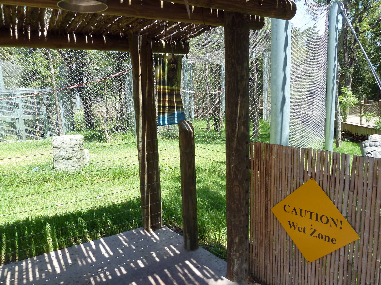 Asian Forest - Bornean Orangutan Exhibit - Splash Zone!