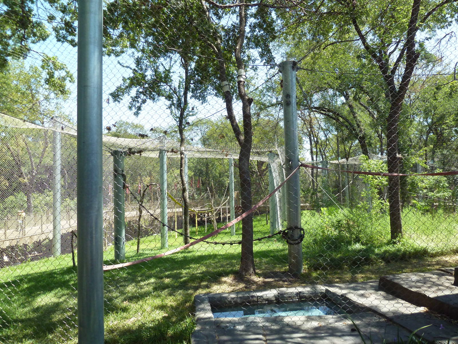 Asian Forest - Bornean Orangutan Exhibit