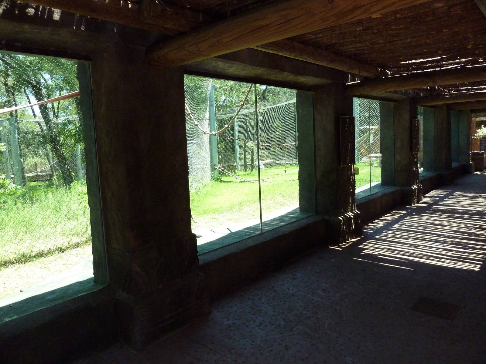 Asian Forest - Bornean Orangutan Exhibit