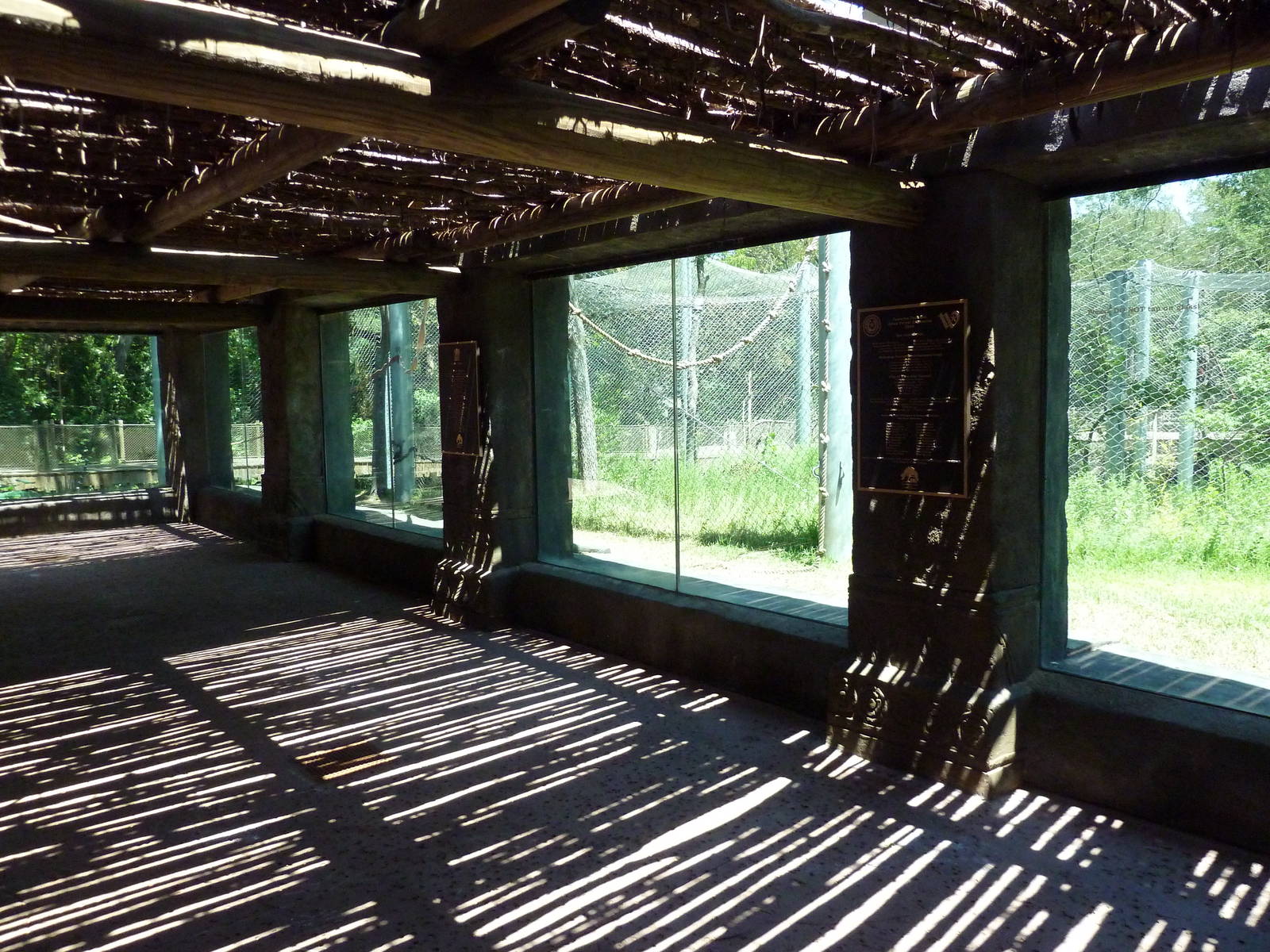 Asian Forest - Bornean Orangutan Exhibit