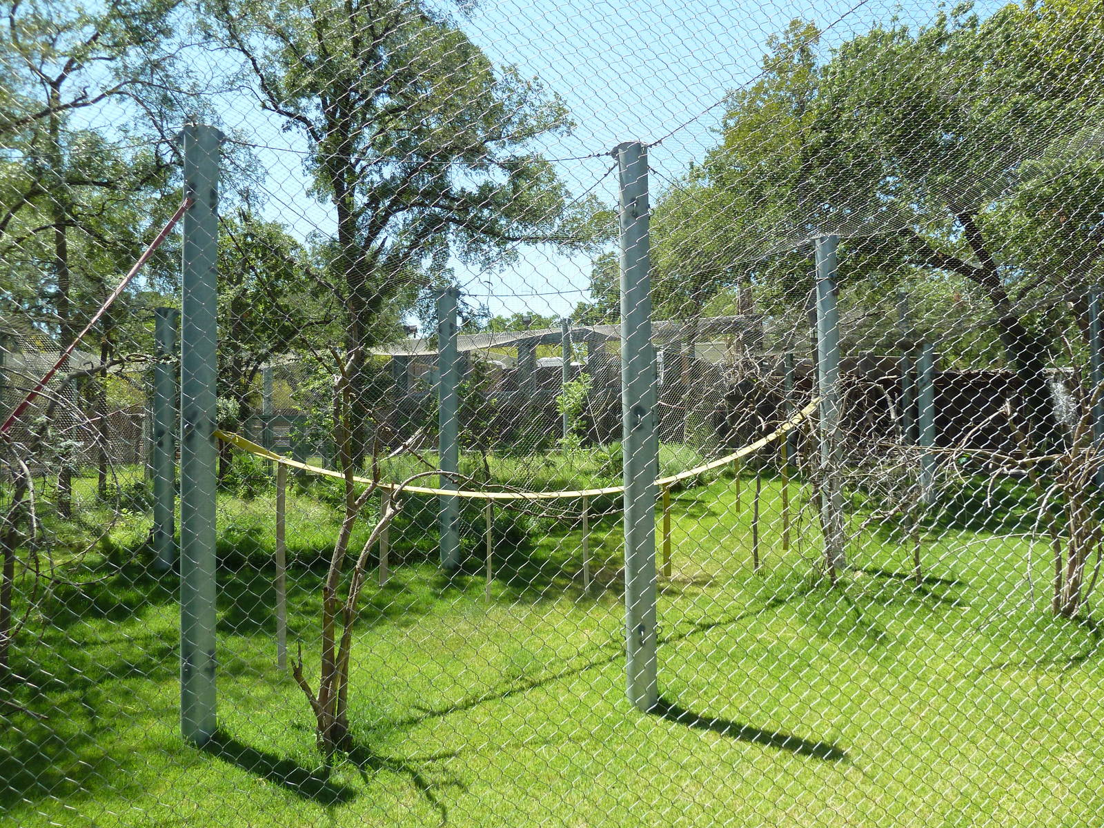 Asian Forest - Bornean Orangutan Exhibit