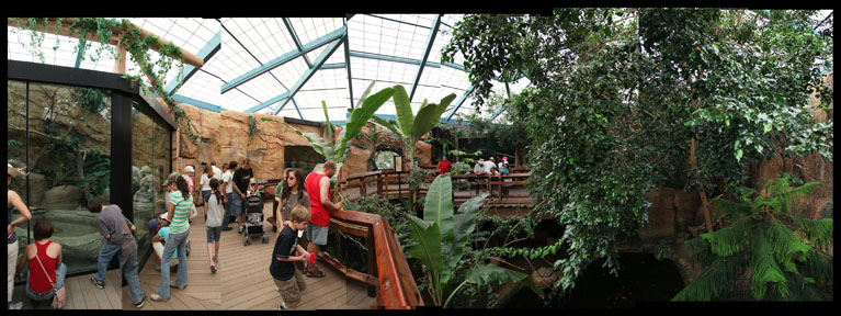 asian forest building