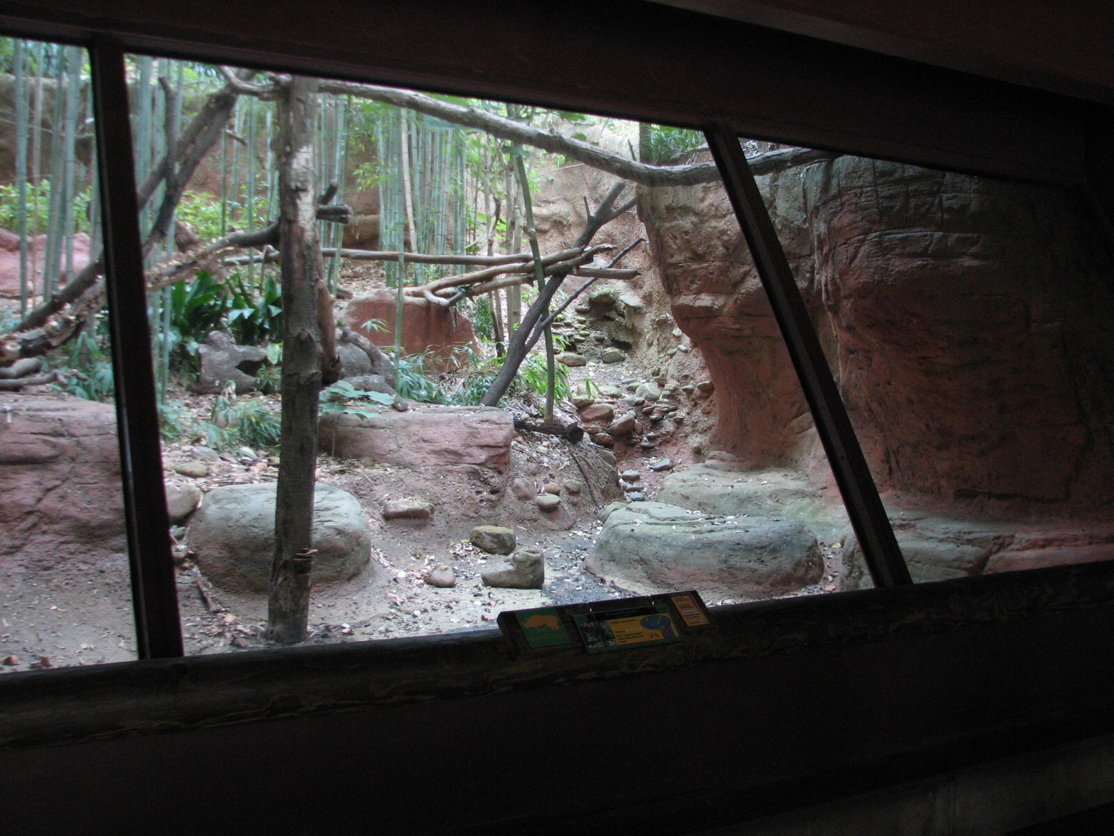 Asian Forest - Clouded Leopard Exhibit