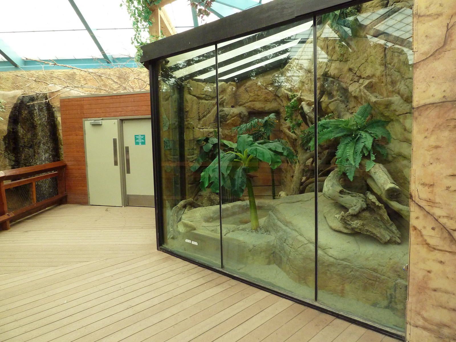 Asian Forest Complex - Sand Cat Exhibit