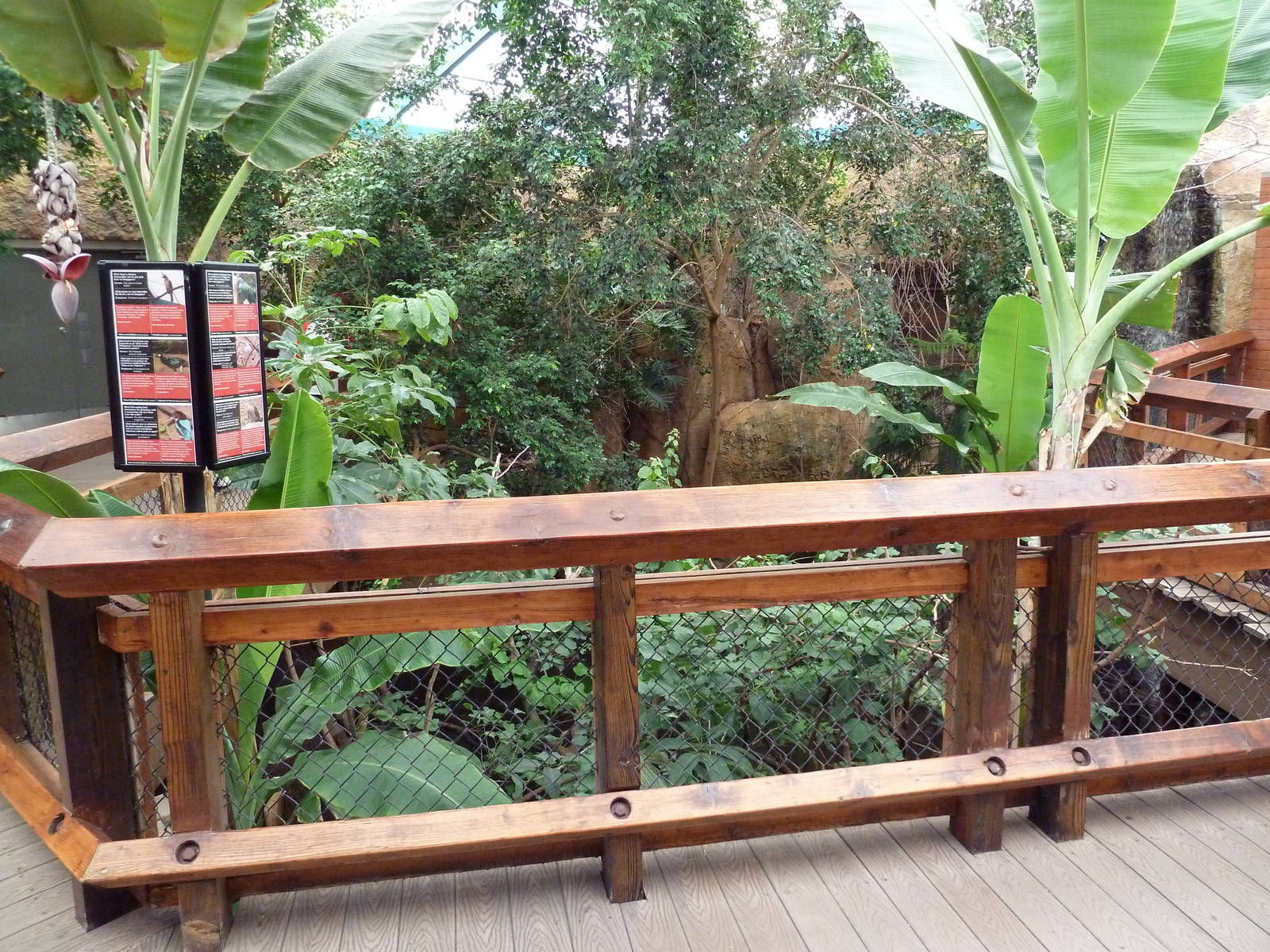 Asian Forest Complex - Walk-Through Aviary