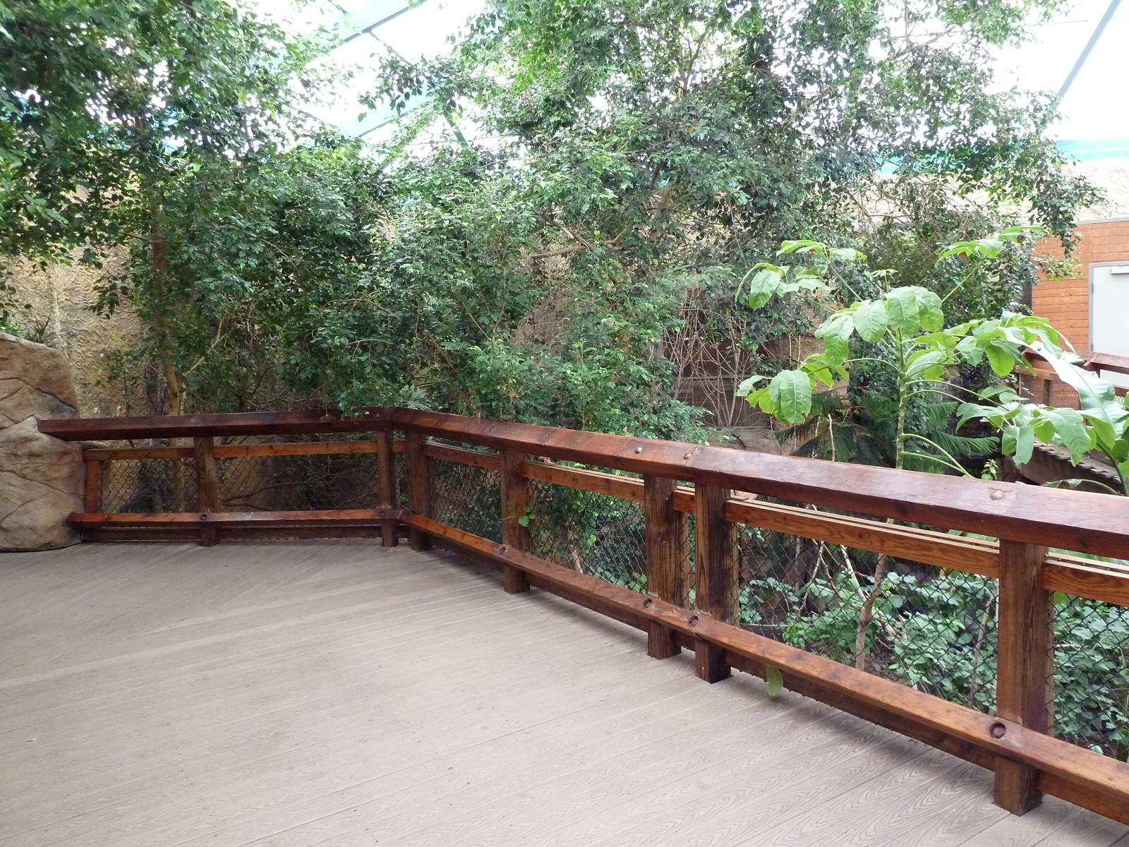 Asian Forest Complex - Walk-Through Aviary