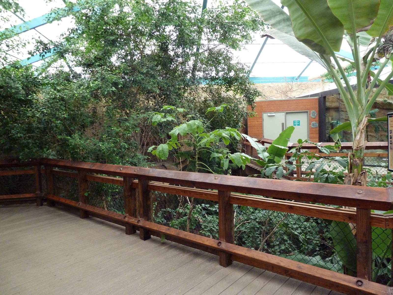Asian Forest Complex - Walk-Through Aviary