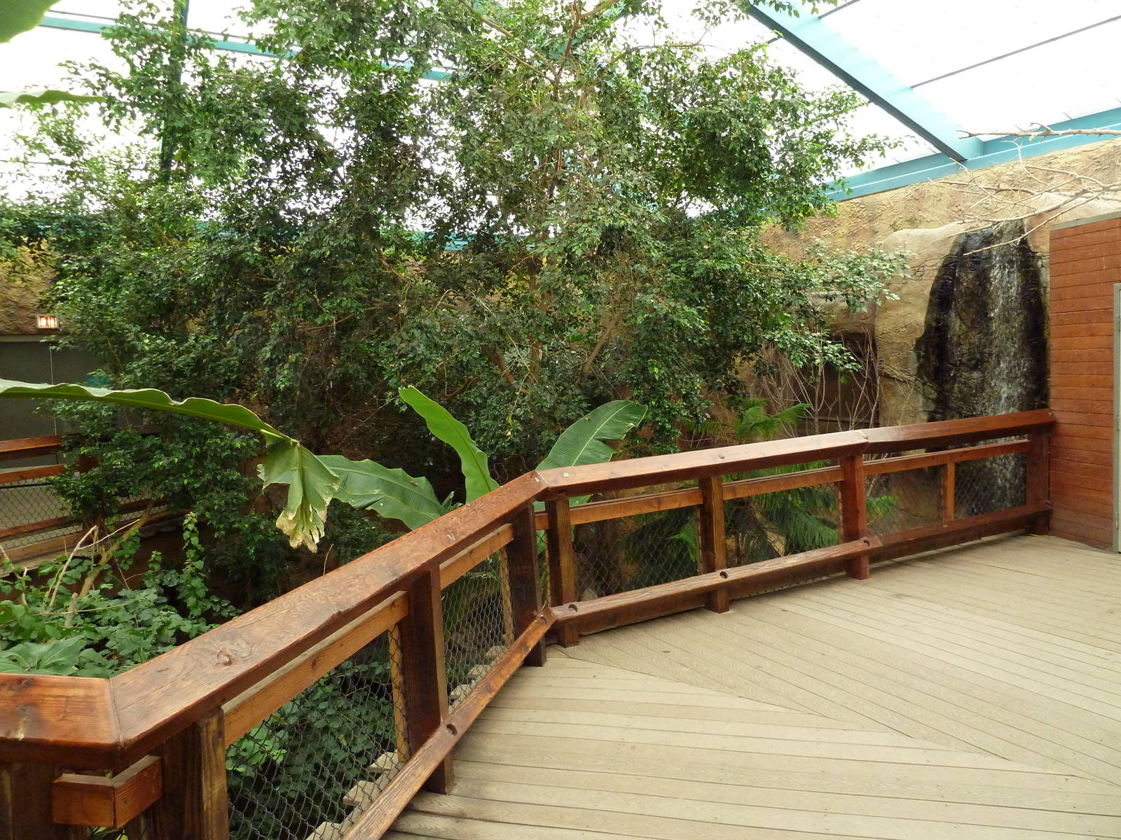 Asian Forest Complex - Walk-Through Aviary