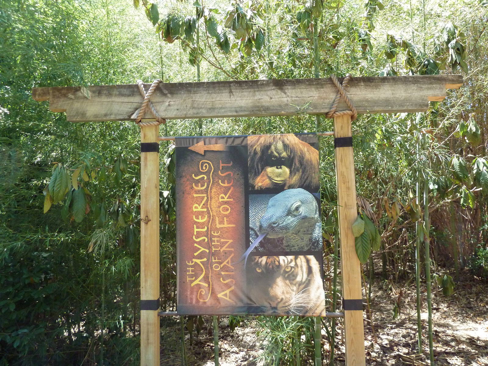 Asian Forest - Entrance Sign