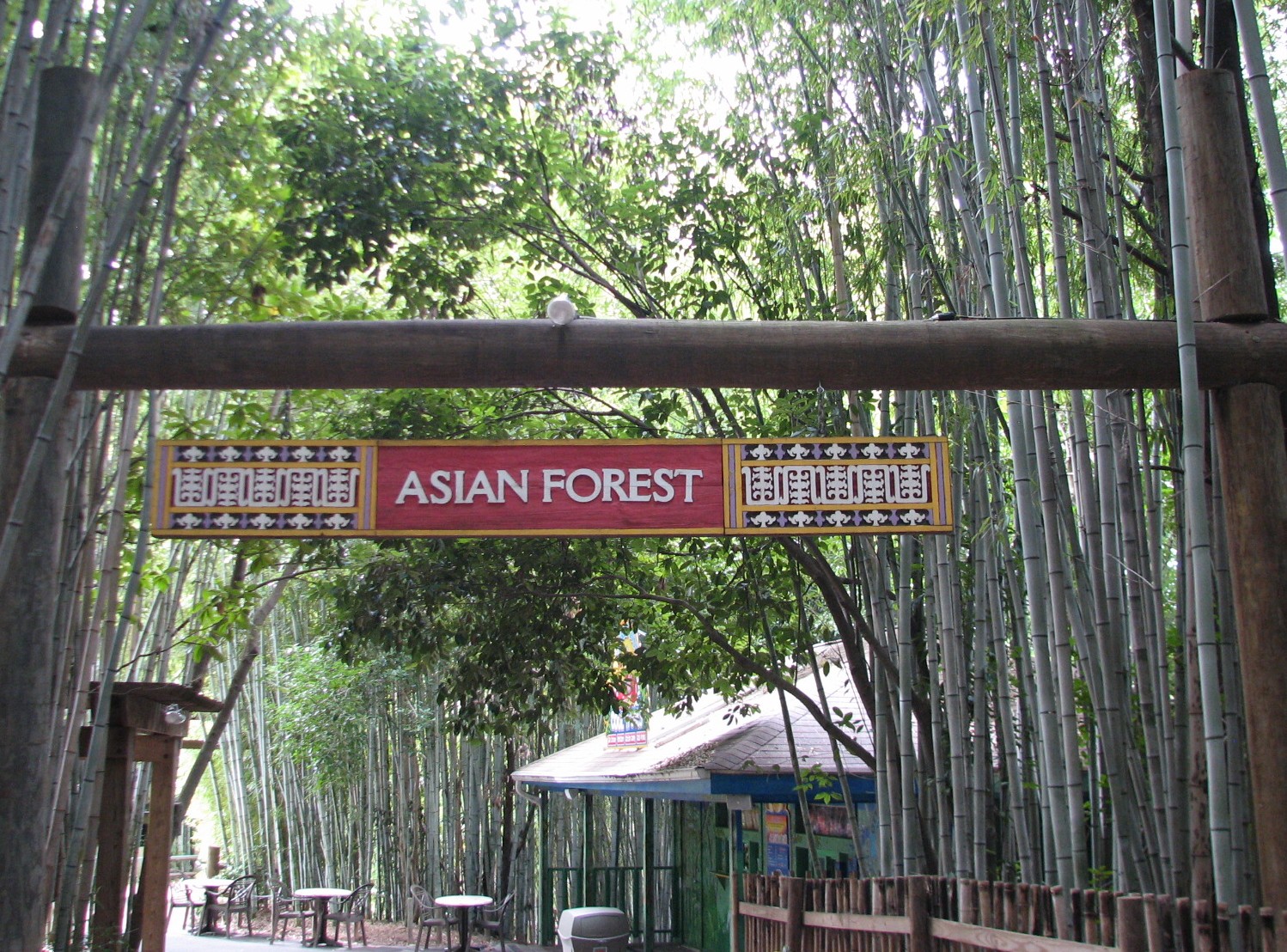 Asian Forest - Entry Sign