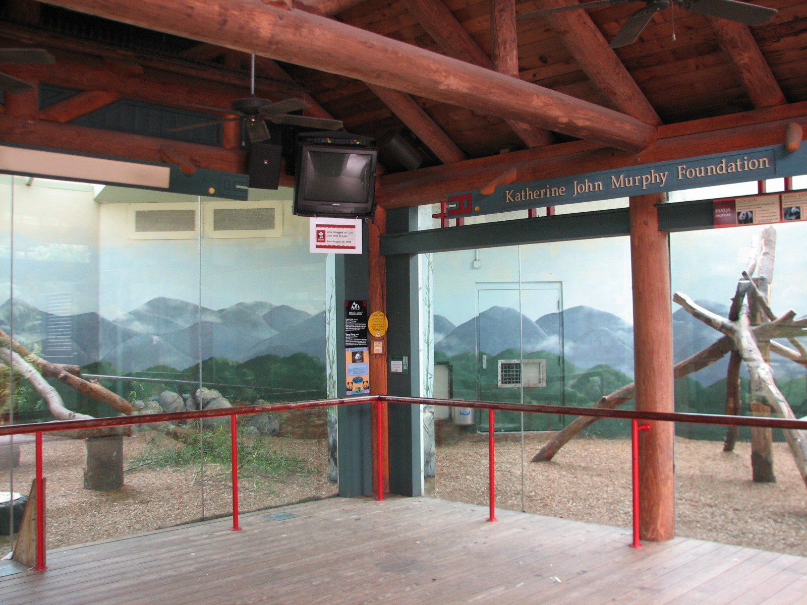 Asian Forest - Giant Pandas of Chengdu Bedrooms
