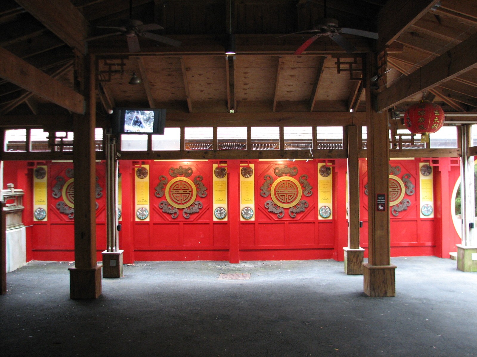Asian Forest - Giant Pandas of Chengdu Pavilion