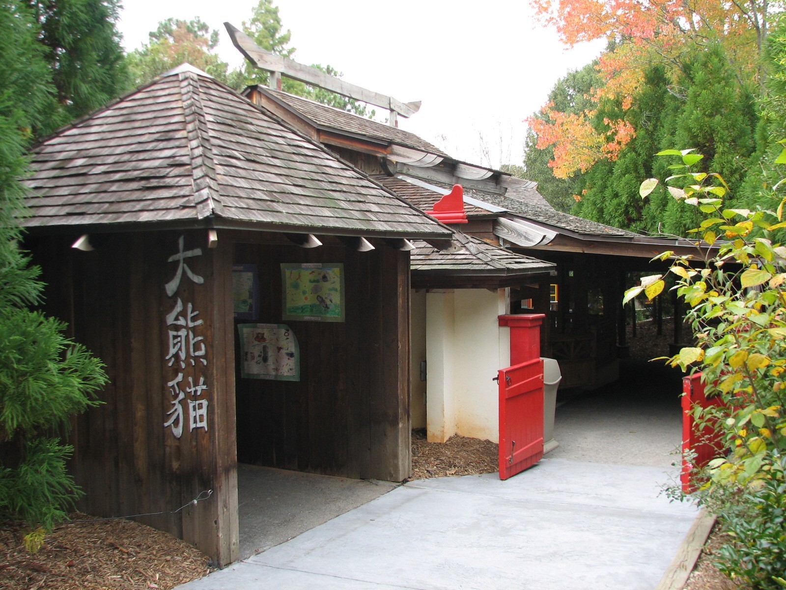 Asian Forest - Giant Pandas of Chengdu Pavilion