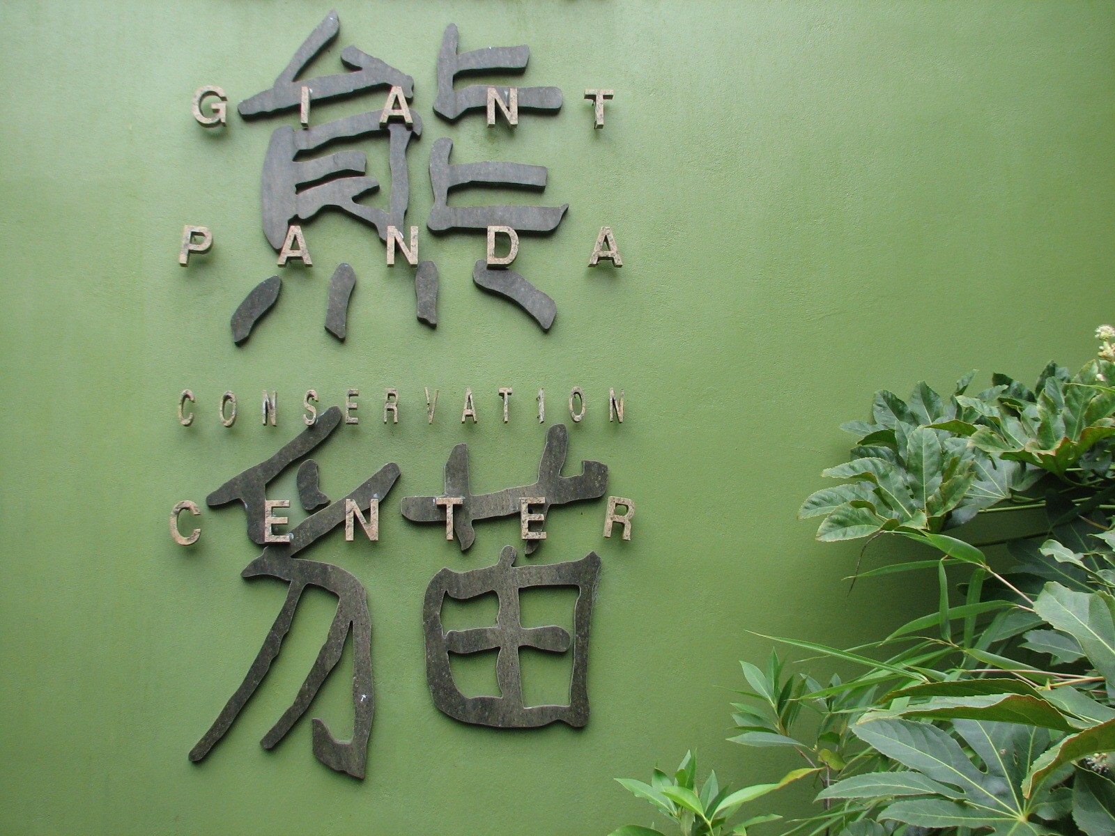 Asian Forest - Giant Pandas of Chengdu Sign