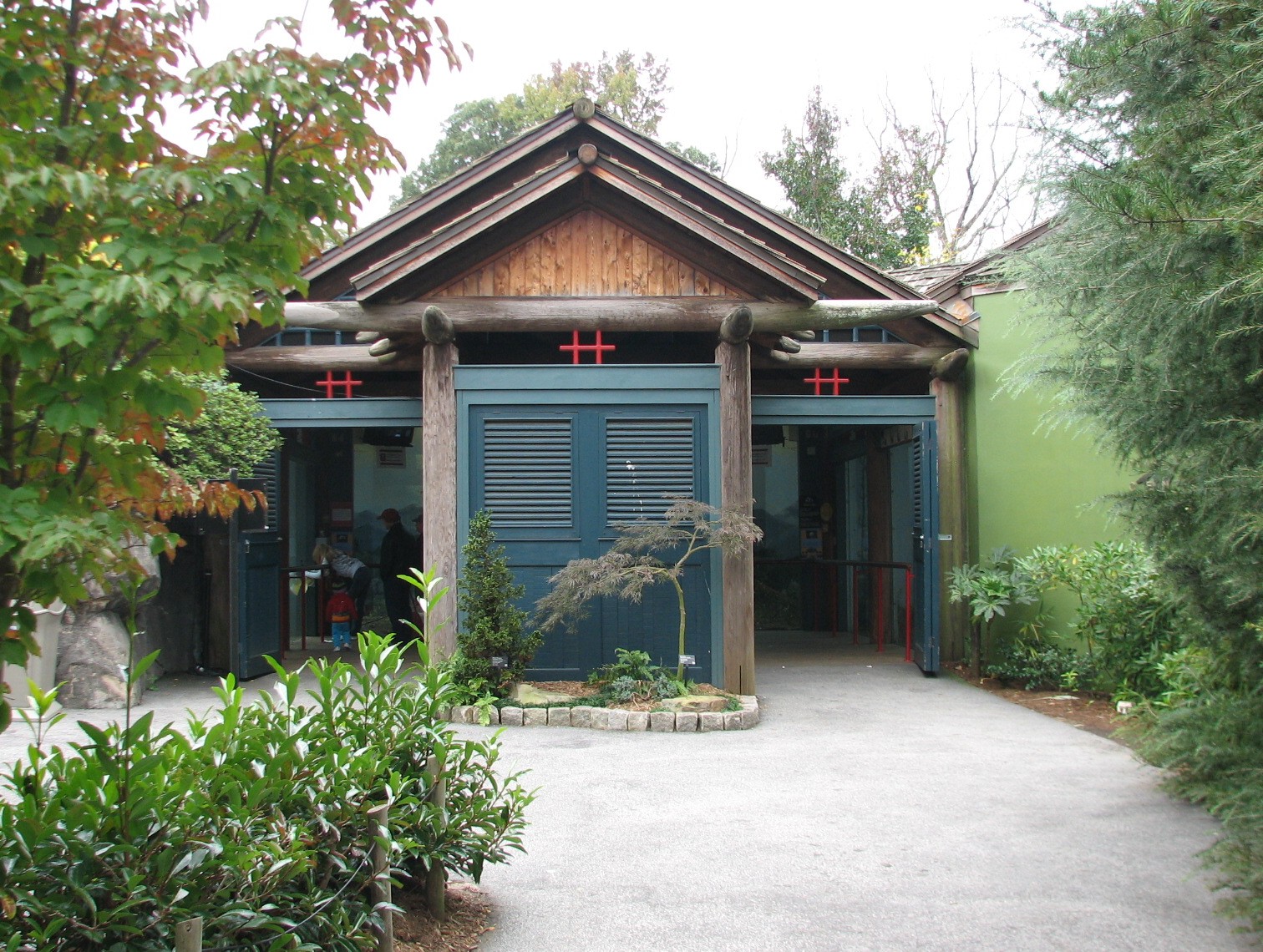 Asian Forest - Giant Pandas of Chengdu Viewing Pavilion