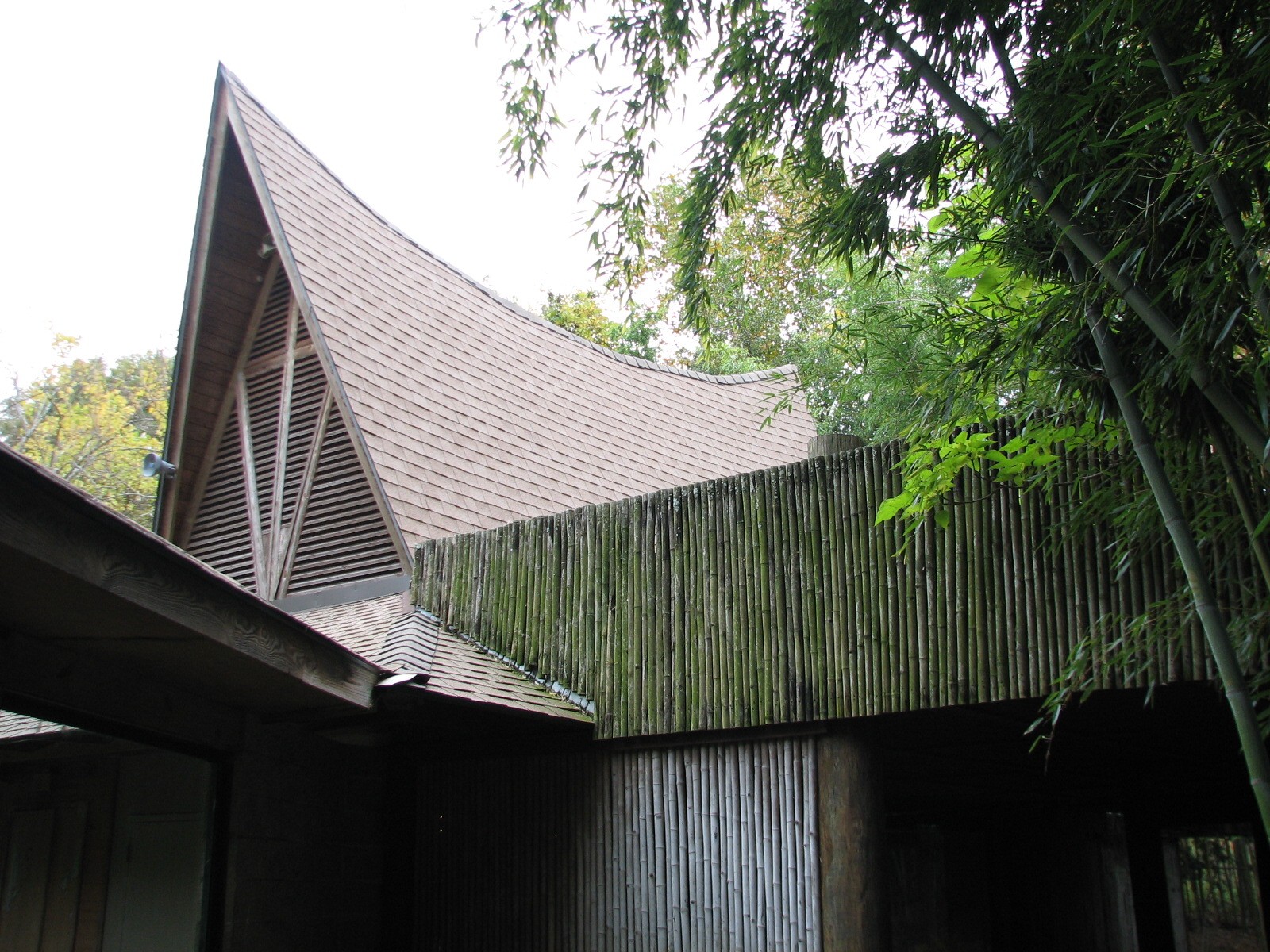 Asian Forest - Komodo Dragon Exhibit Building