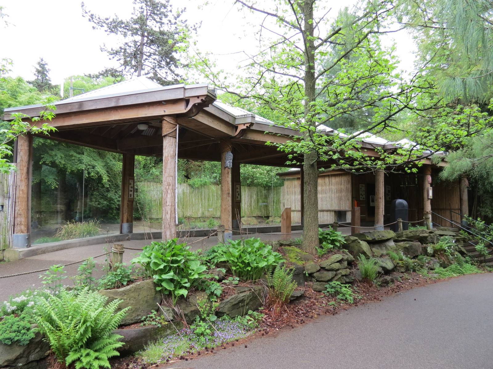 Asian Forest - Komodo Dragon Exhibit Viewing Shelter
