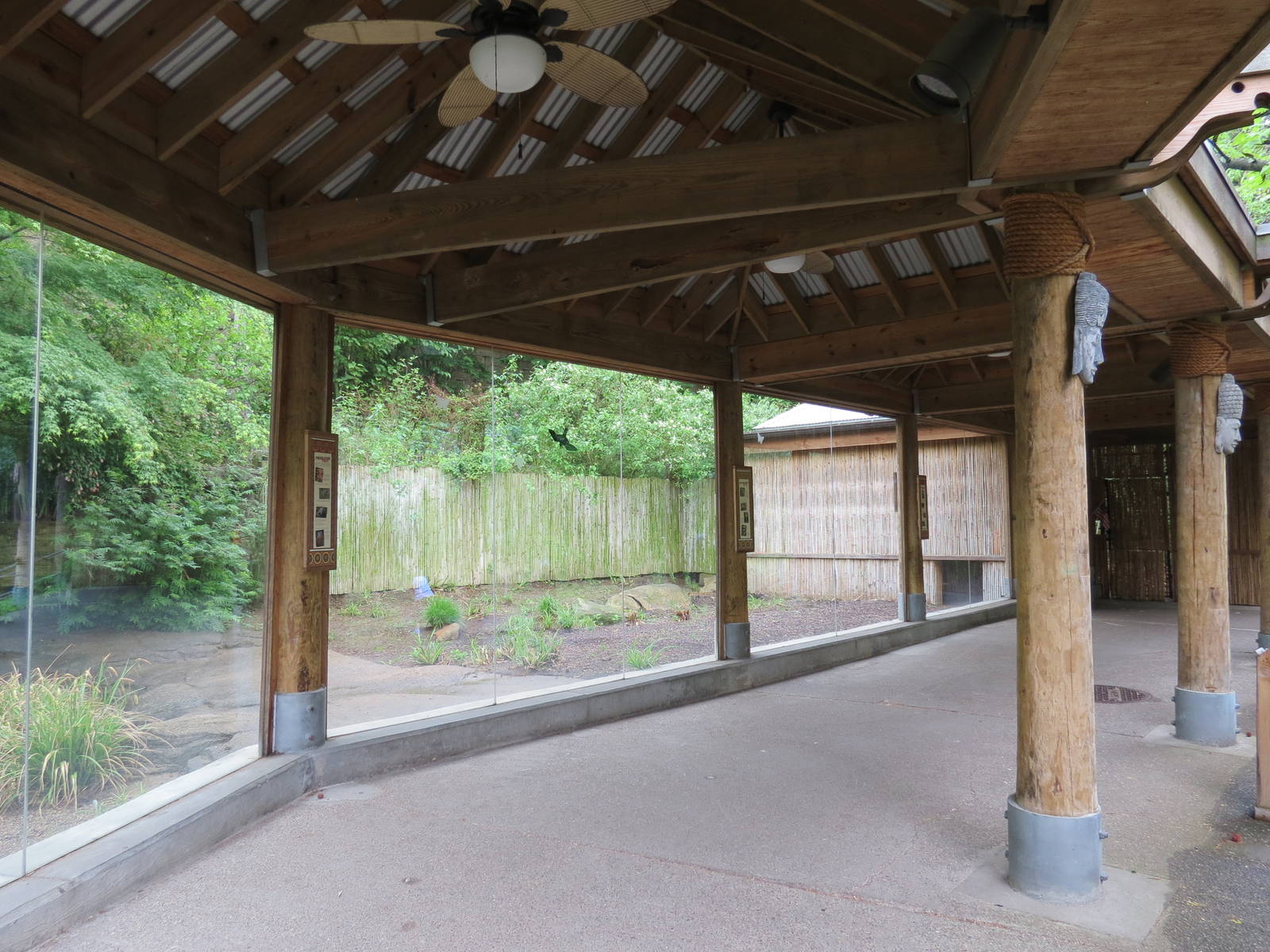 Asian Forest - Komodo Dragon Exhibit