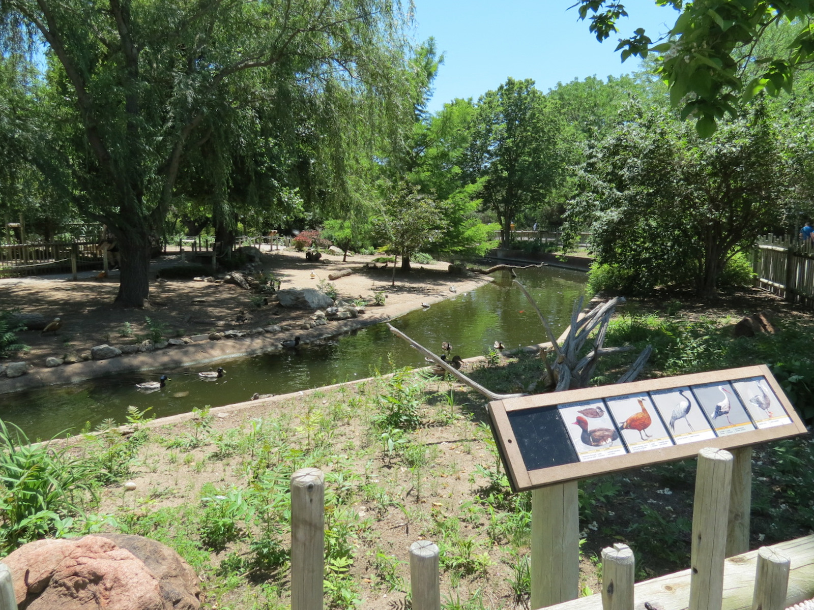 Asian Forest - Moated Yard