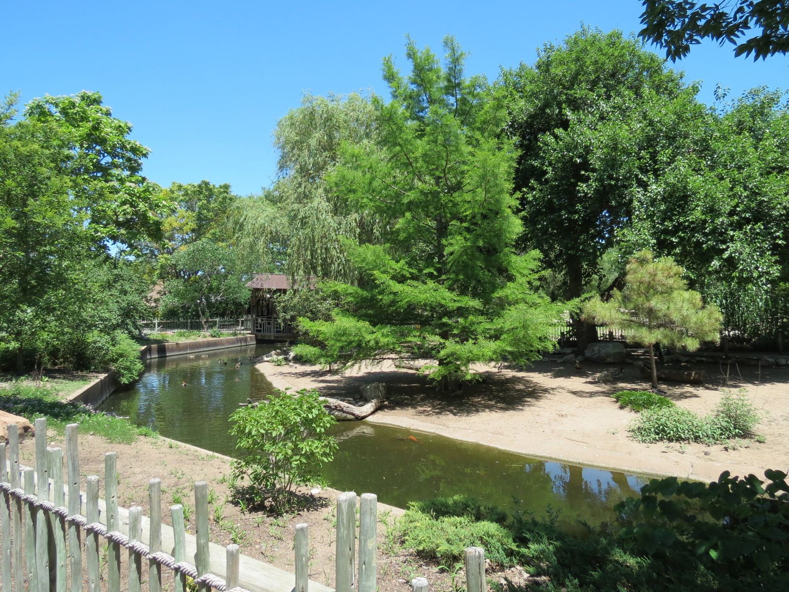 Asian Forest - Moated Yard
