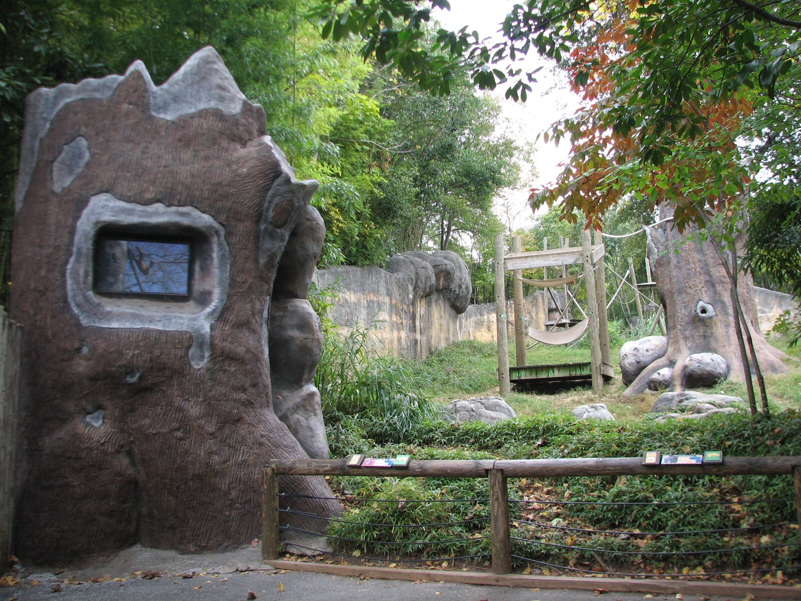 Asian Forest - Orangutan Viewing Area