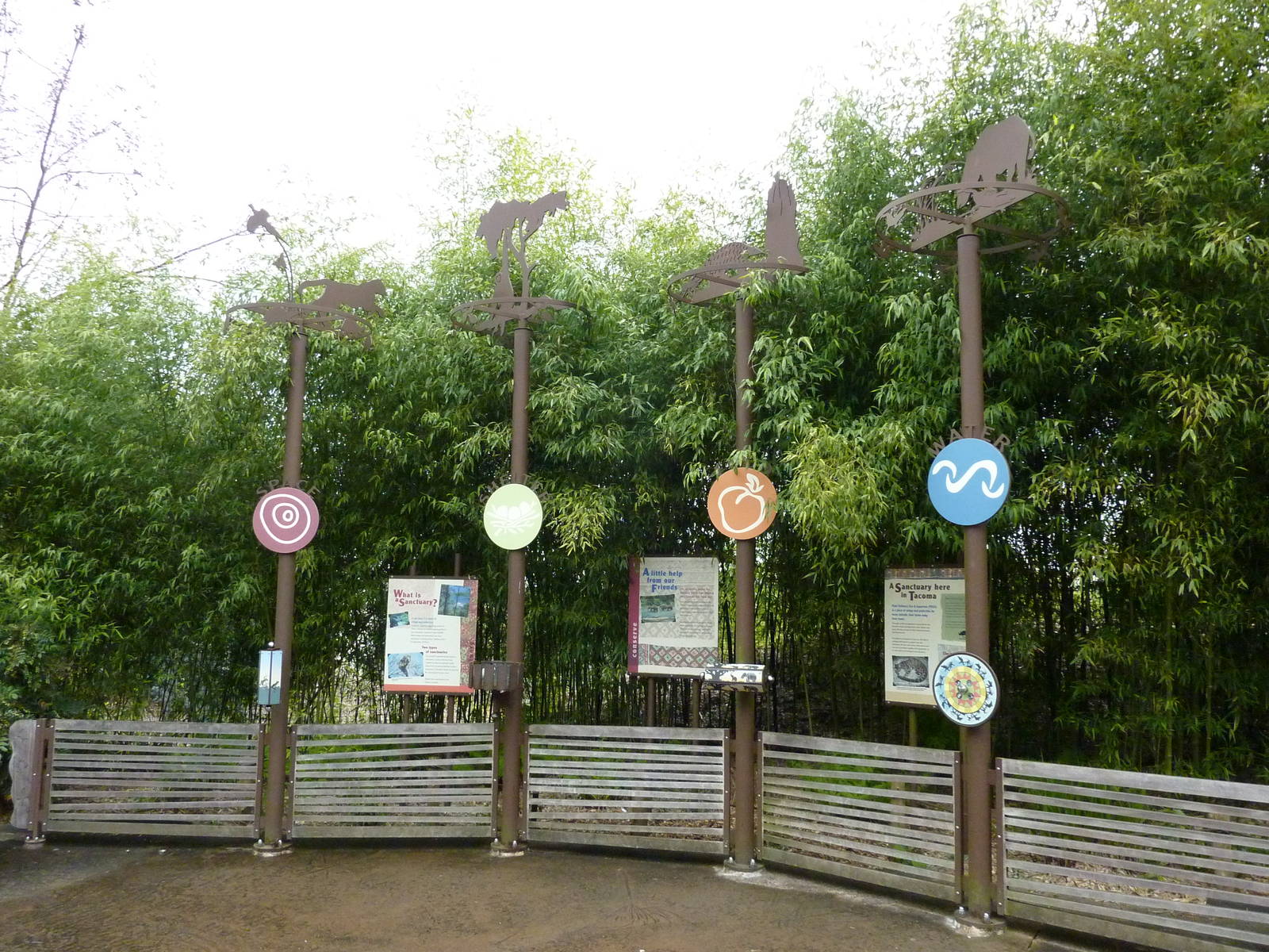 Asian Forest Sanctuary - Artwork