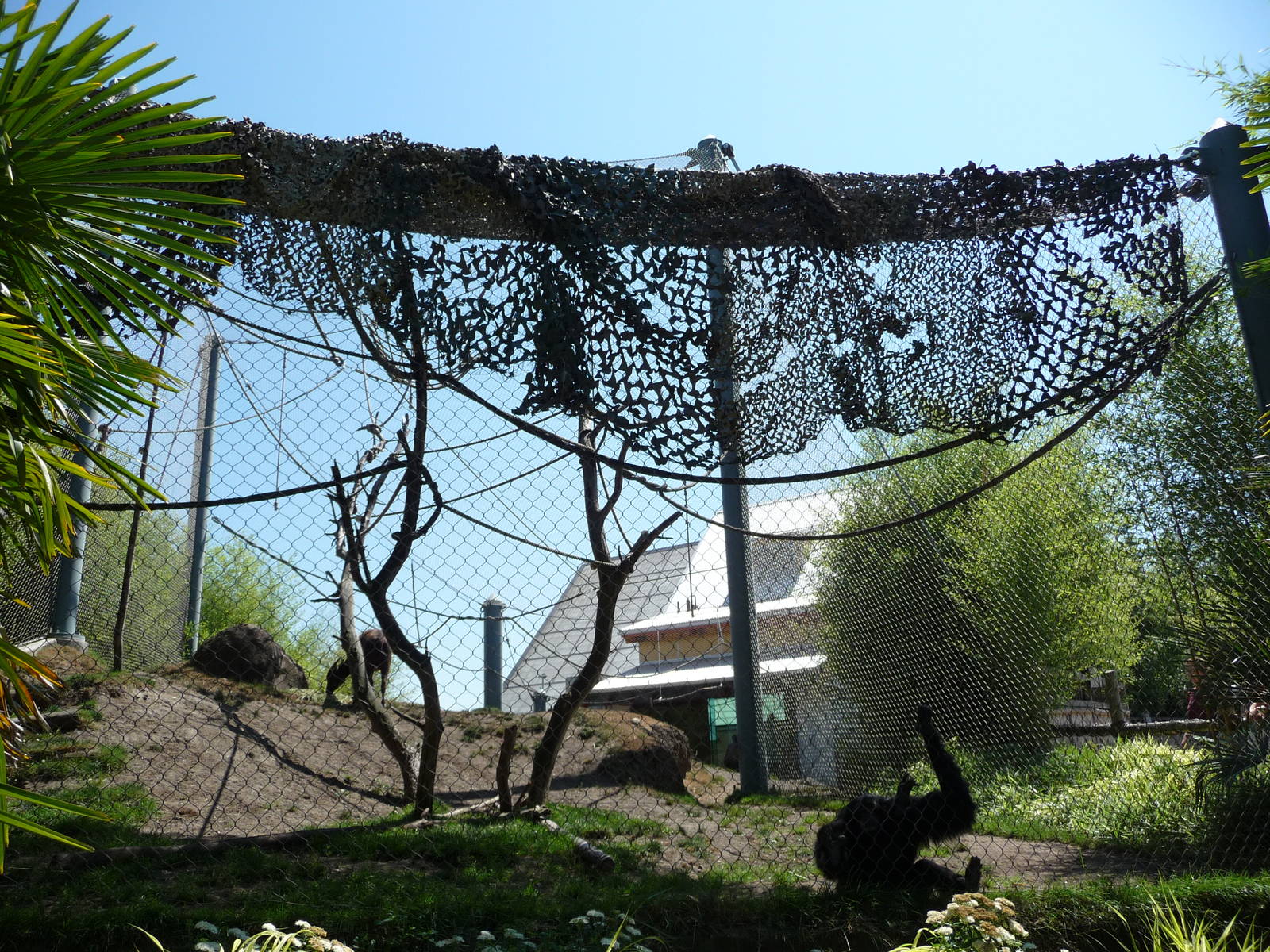 Asian Forest Sanctuary - Broadleaf Forest