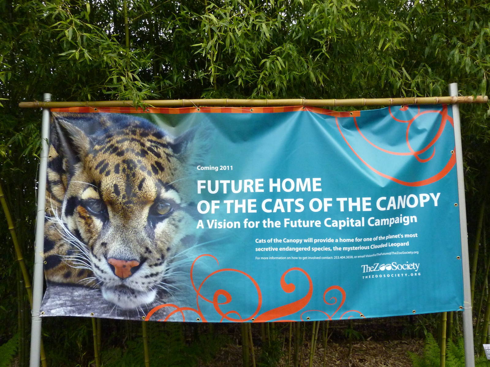 Asian Forest Sanctuary - Clouded Leopard Sign