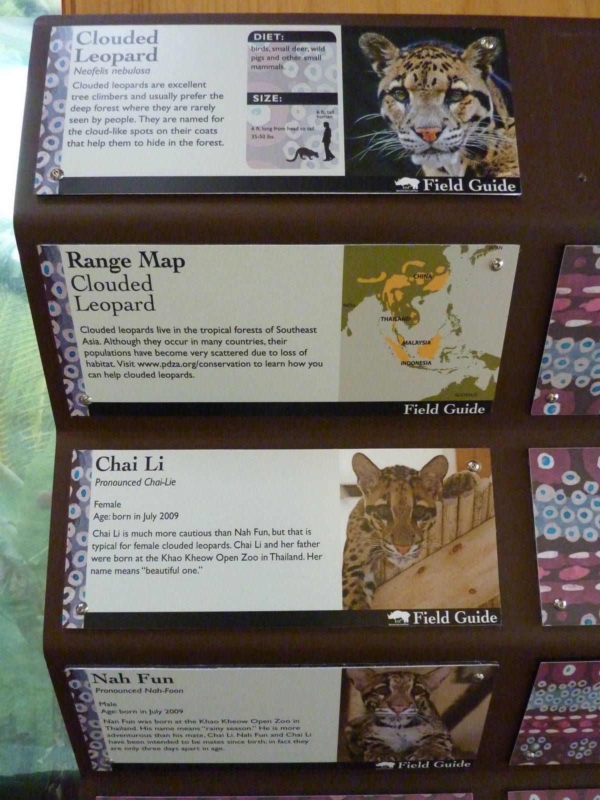 Asian Forest Sanctuary - Clouded Leopard Sign