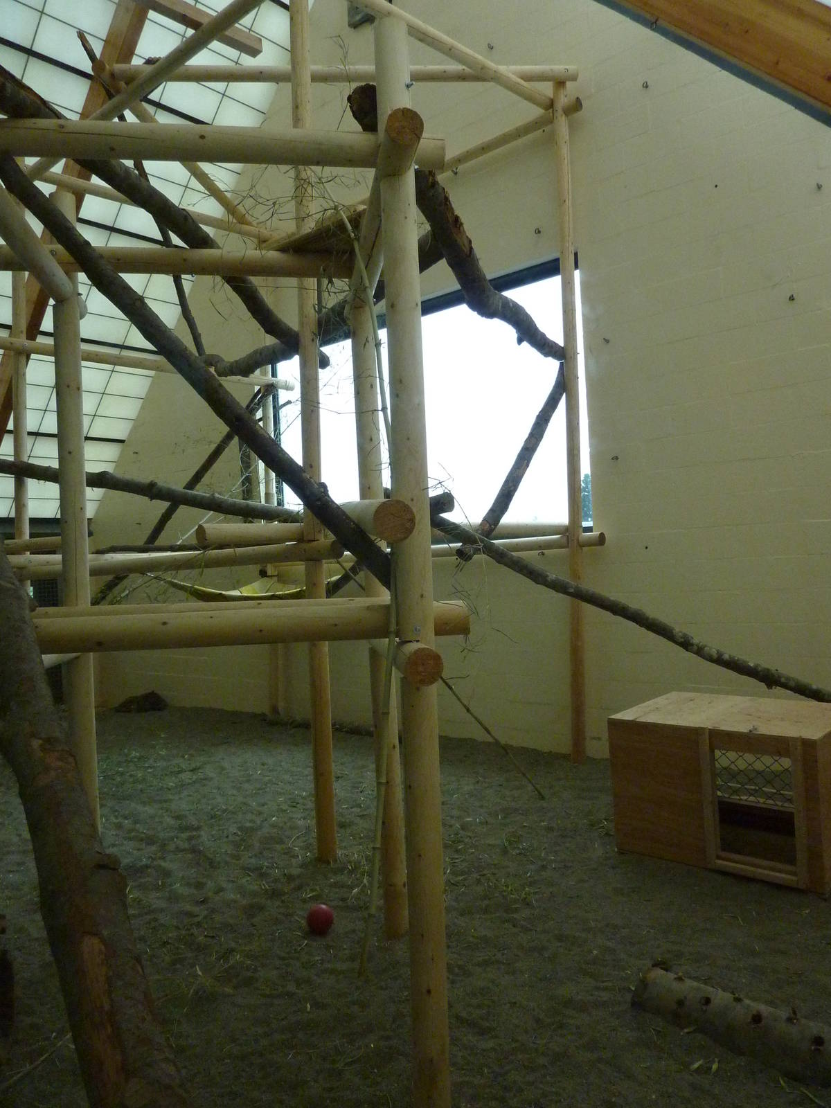 Asian Forest Sanctuary - Clouded Leopard Temporary Exhibit